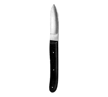 Hopkins Plaster Knife 20.0 cm