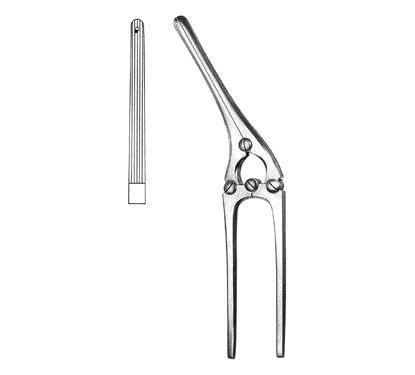 Payr Intestinal and Stomach Clamps 21.0 cm, With Pin