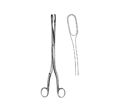 Winter Placenta And Ovum Forceps 28.0 cm, Curved