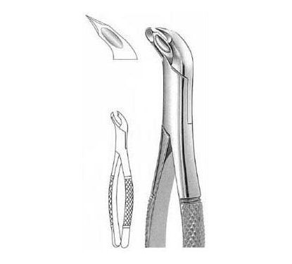 Woodward Extracting Forceps # 3 Fs, American Pattern